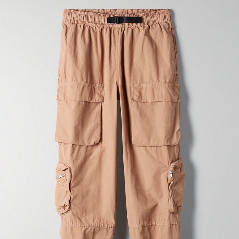Aritzia overload cargo pants